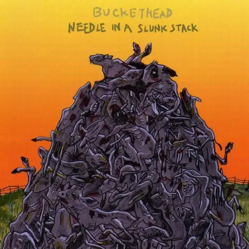Buckethead : Needle in a Slunk Stack